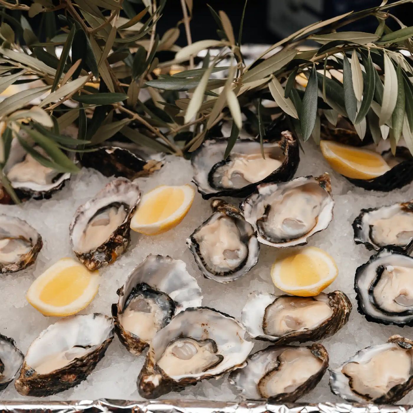 Platter of fresh oysters with lemon